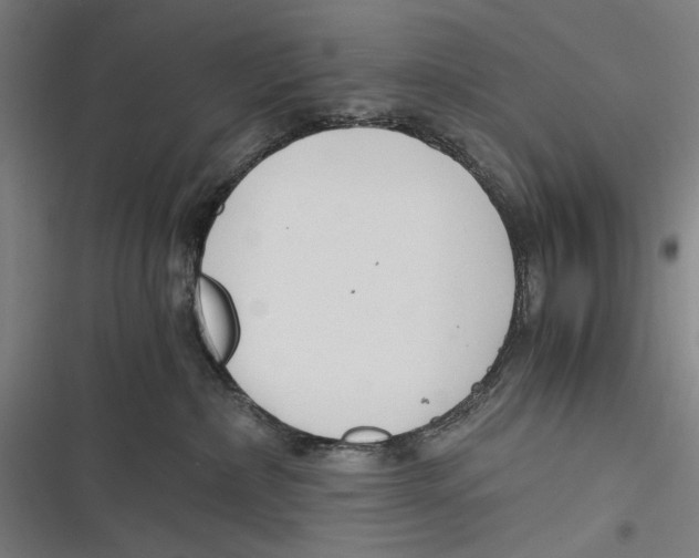 X0000116640236201001111214