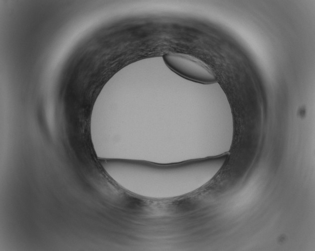 X0000116640239201001111214