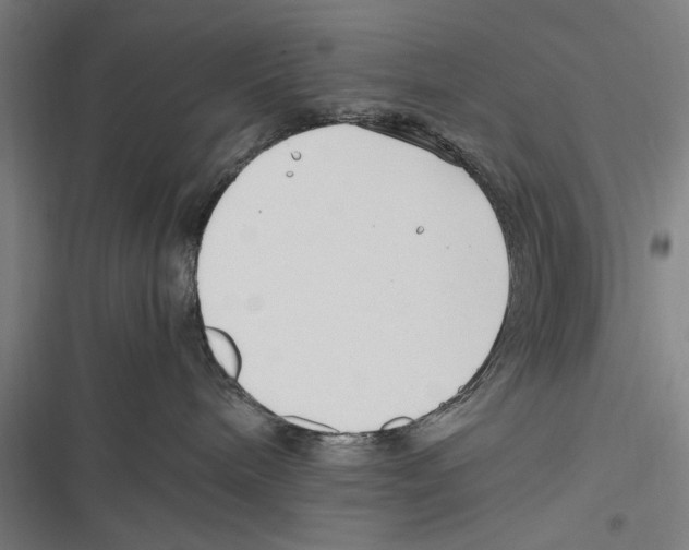 X0000116640240201001111214