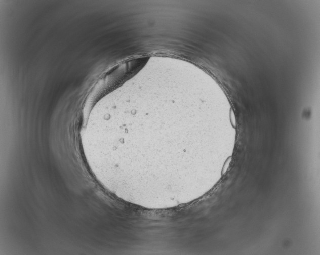 X0000116640241201001111214