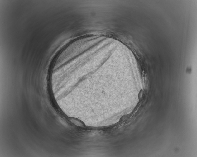 X0000116640243201001111214