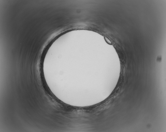 X0000116640244201001111214