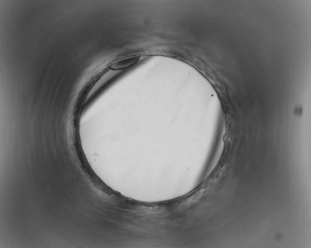 X0000116640245201001111214