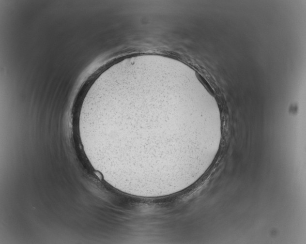 X0000116640246201001111214