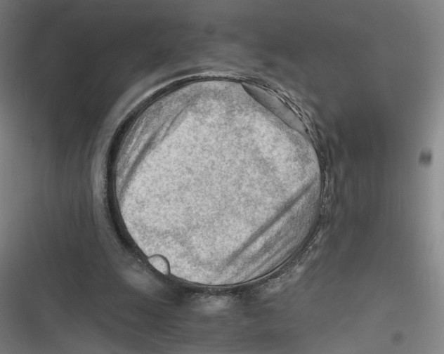 X0000116640247201001111214