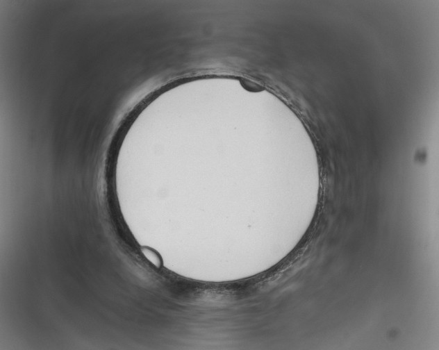 X0000116640248201001111214