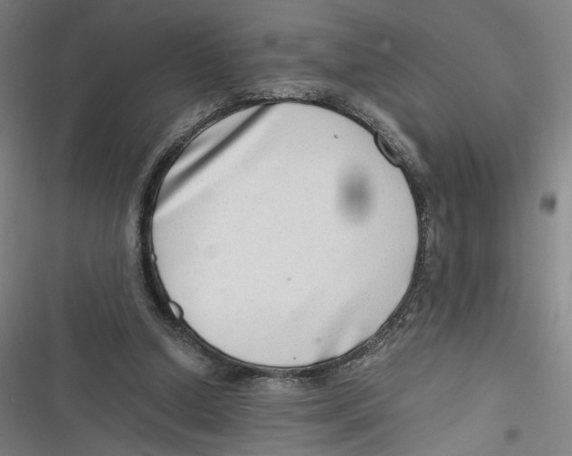 X0000116640250201001111214