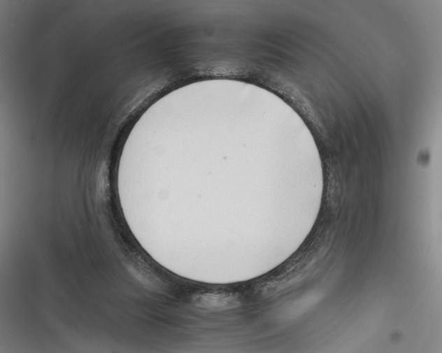 X0000116640251201001111214