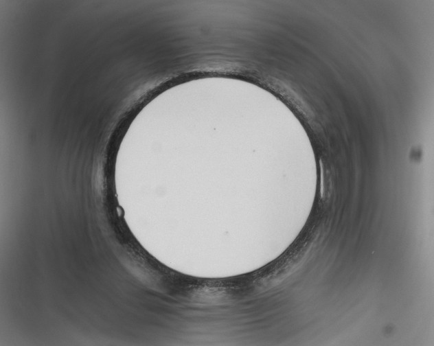 X0000116640252201001111214