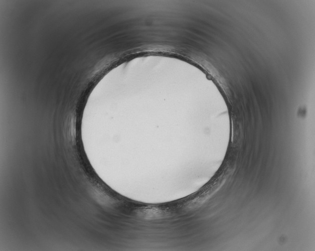 X0000116640253201001111214