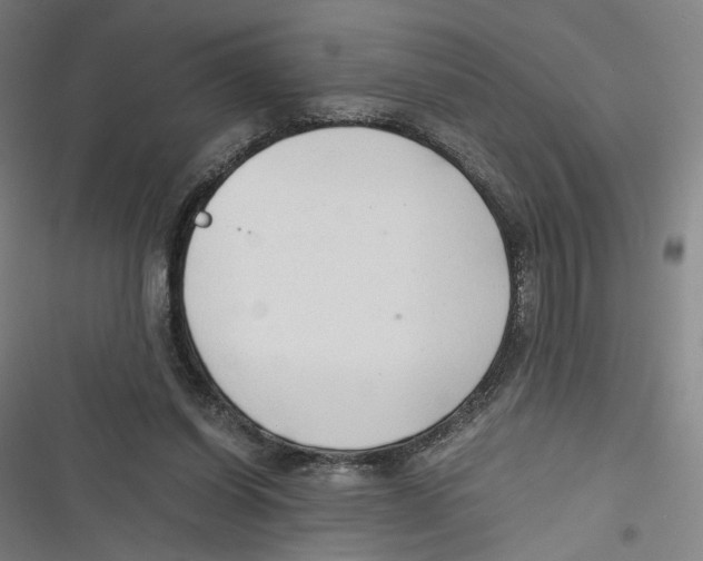 X0000116640254201001111214