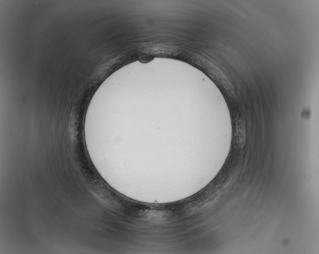 X0000116640255201001111214