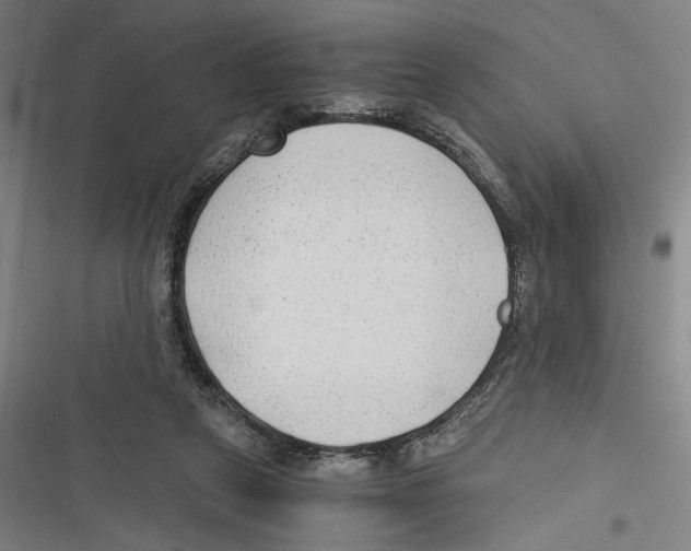 X0000116640257201001111214