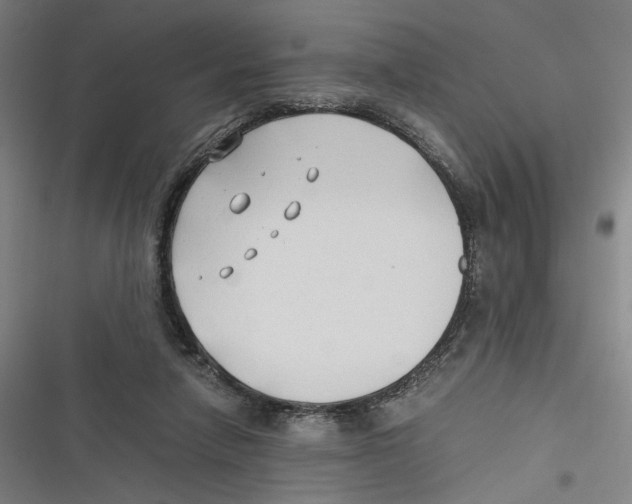 X0000116640258201001111214