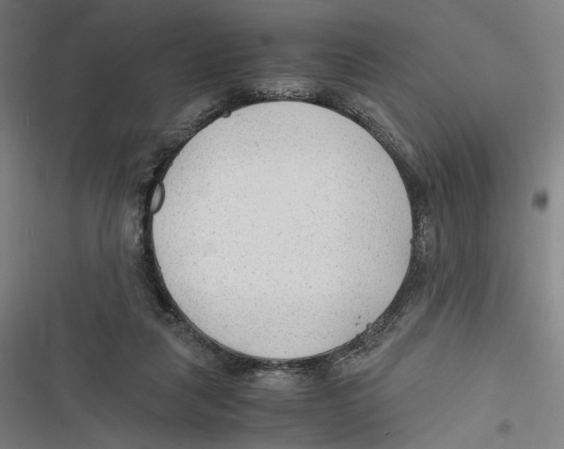 X0000116640259201001111214