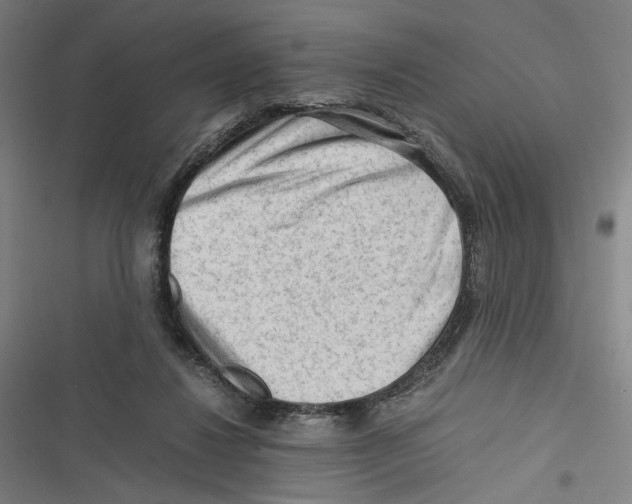 X0000116640260201001111214