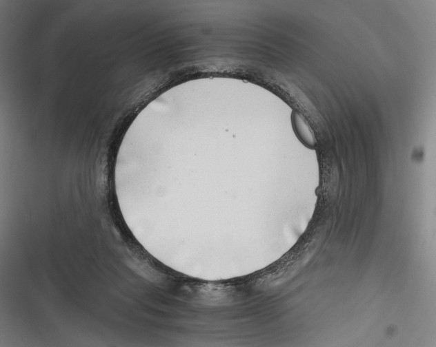 X0000116640261201001111214