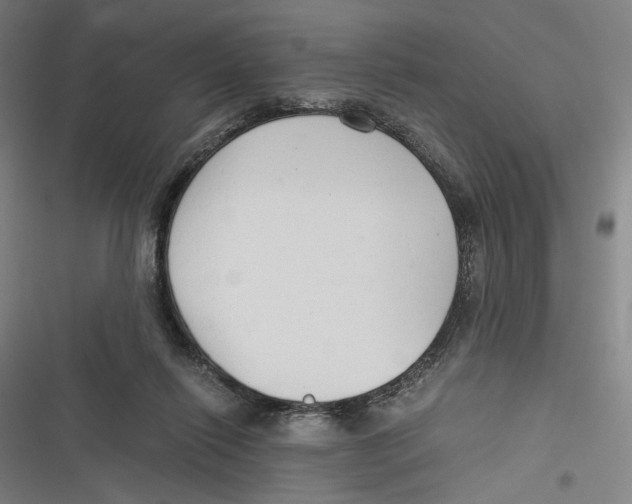 X0000116640262201001111214