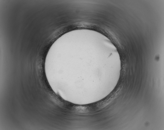 X0000116640265201001111214