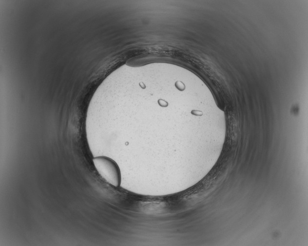 X0000116640266201001111214