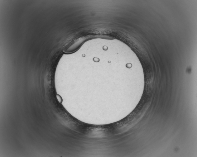 X0000116640268201001111214