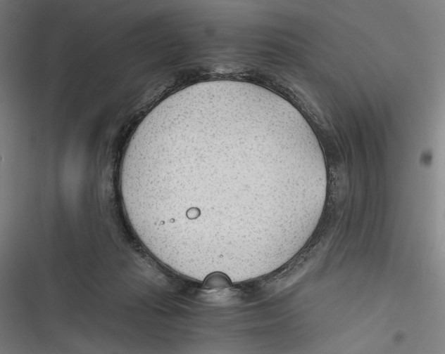 X0000116640269201001111214