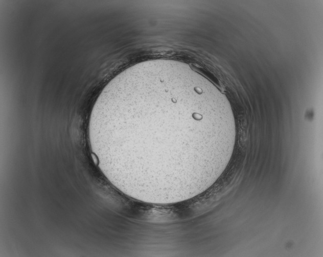 X0000116640270201001111214