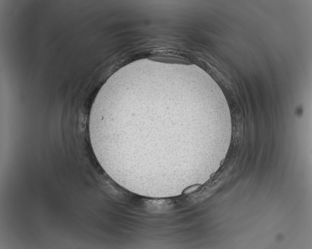 X0000116640281201001111214