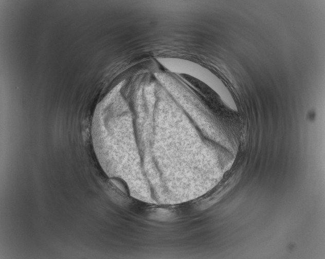 X0000116640285201001111214