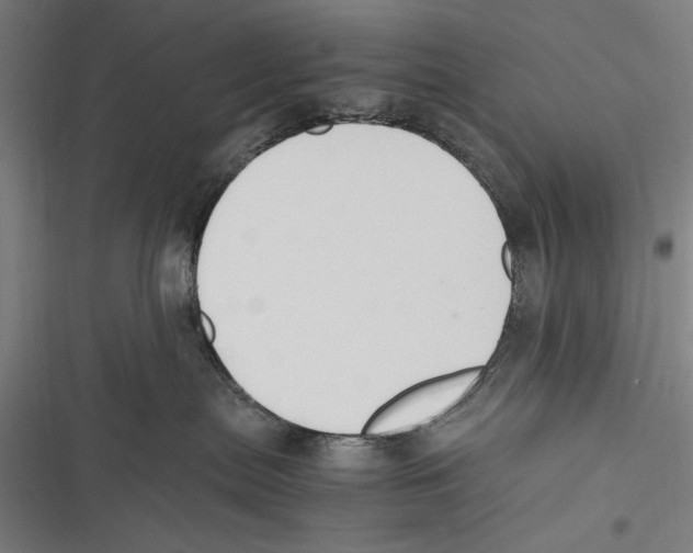 X0000116640287201001111214