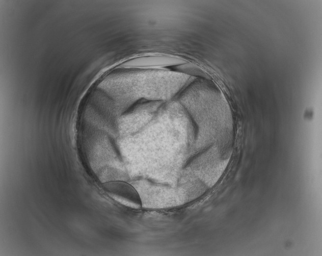 X0000116640290201001111214