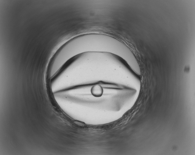 X0000116640292201001111214