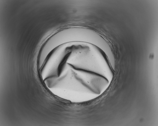 X0000116640293201001111214