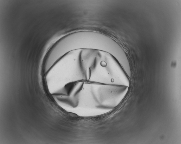 X0000116640294201001111214