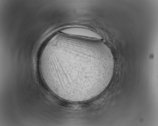 X0000116640295201001111214