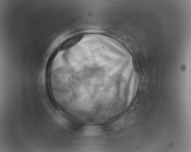 X0000116640296201001111214