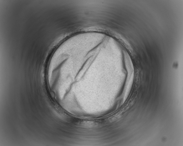 X0000116640298201001111214