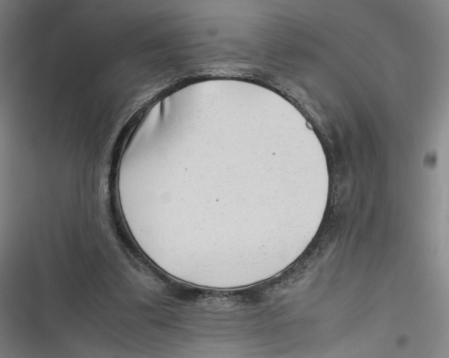 X0000116640299201001111214