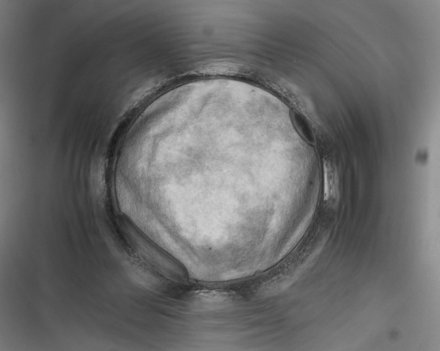 X0000116640300201001111214