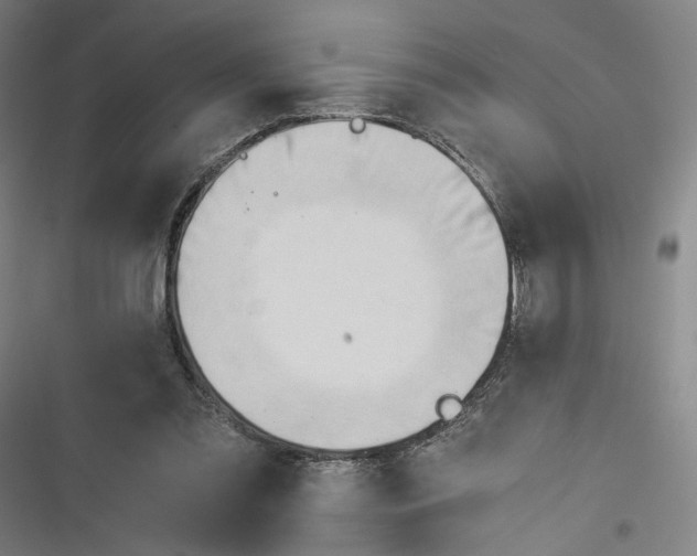 X0000116640301201001111214