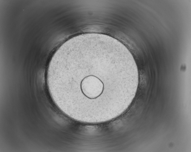 X0000116640302201001111214