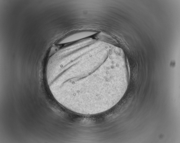 X0000116640303201001111214