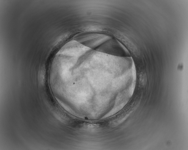 X0000116640304201001111214