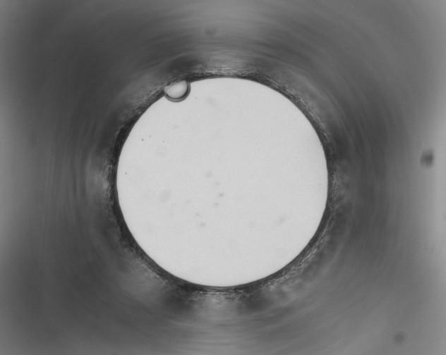 X0000116640305201001111214