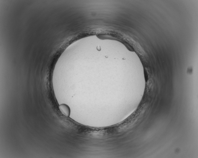 X0000116640306201001111214