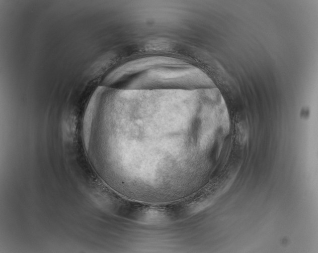 X0000116640308201001111213