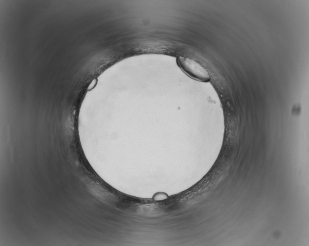 X0000116640309201001111213