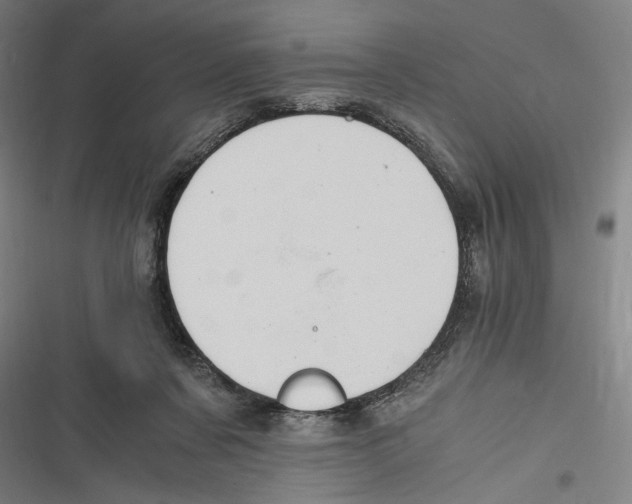 X0000116640311201001111213