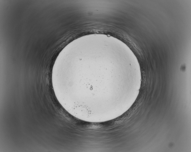 X0000116640313201001111213