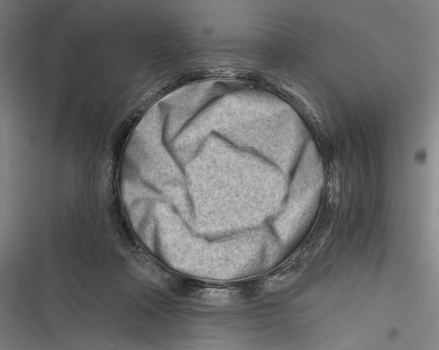 X0000116640314201001111213